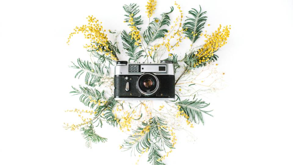 photo session for coaches