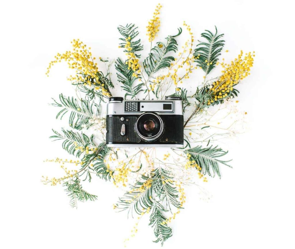 best stock images for free